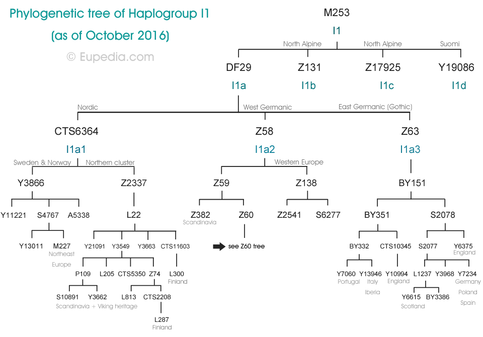 Phylogeny of I1